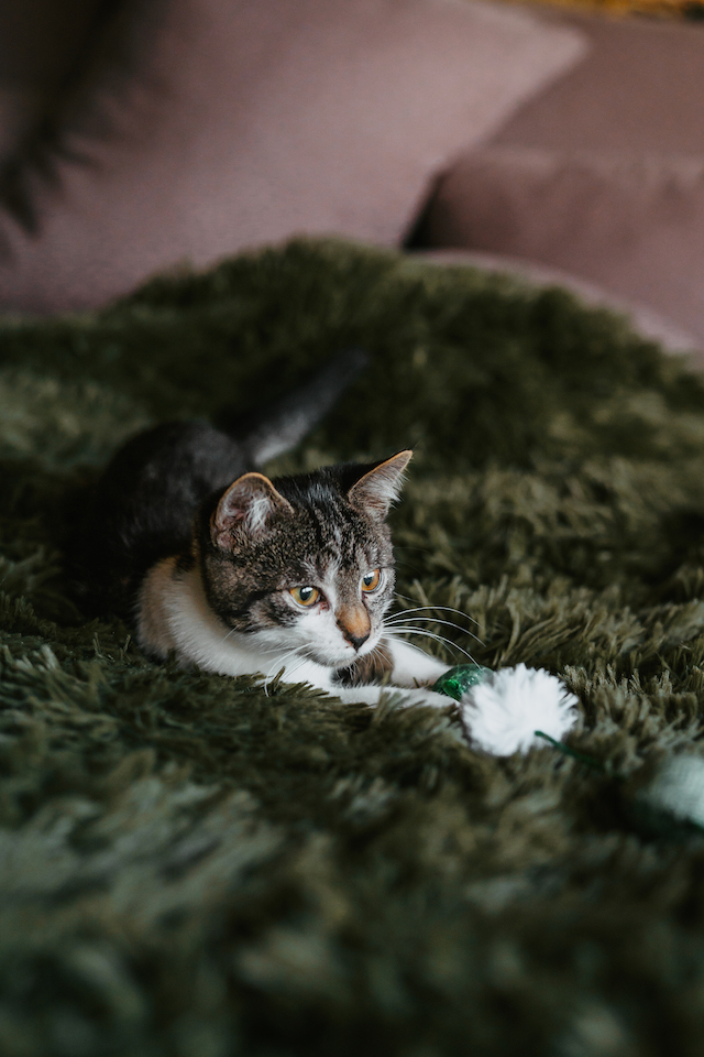 fellengel_millie_bobby10