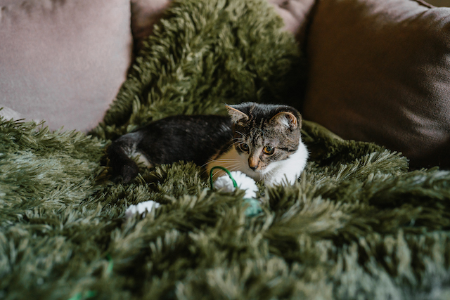 fellengel_millie_bobby8