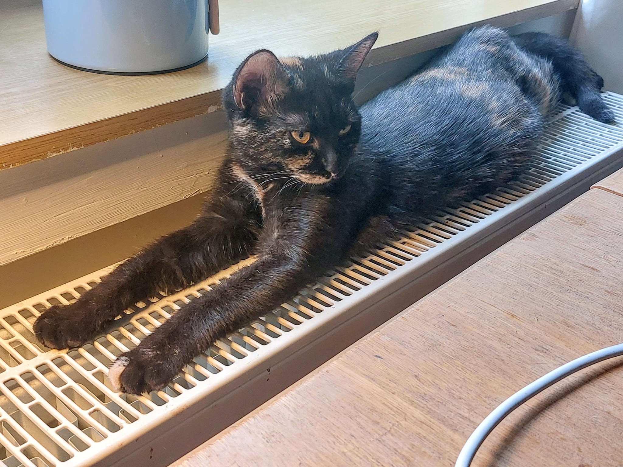 fellengel_lucy:mia2