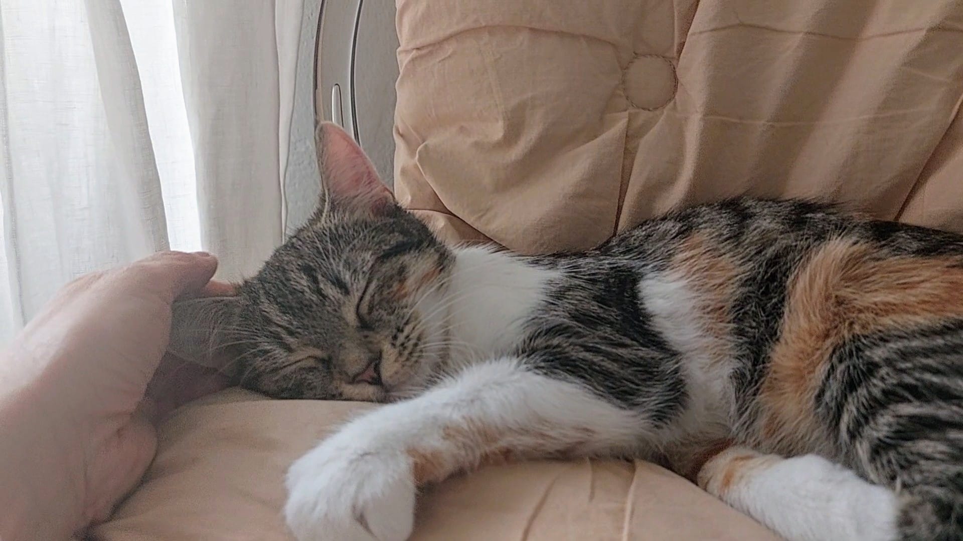 fellengel_lucy:mia3