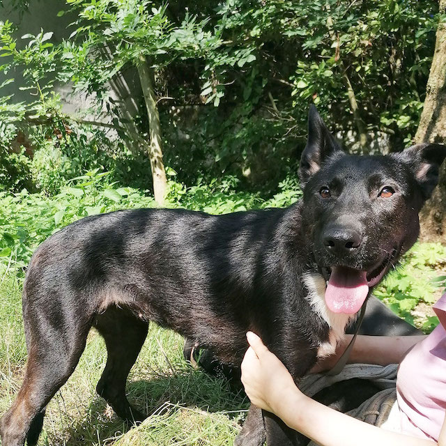 fellengel_miss_hera1