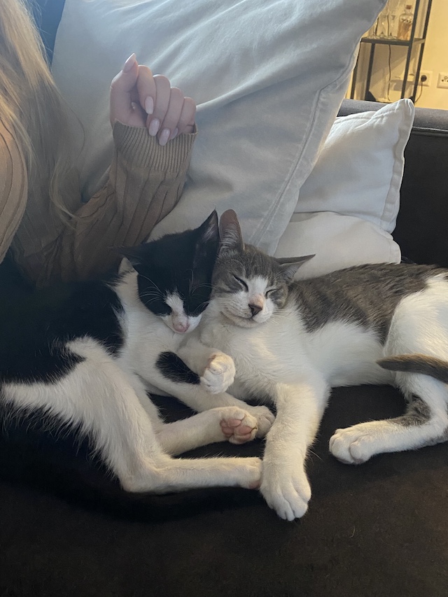 fellengel_val_victor5