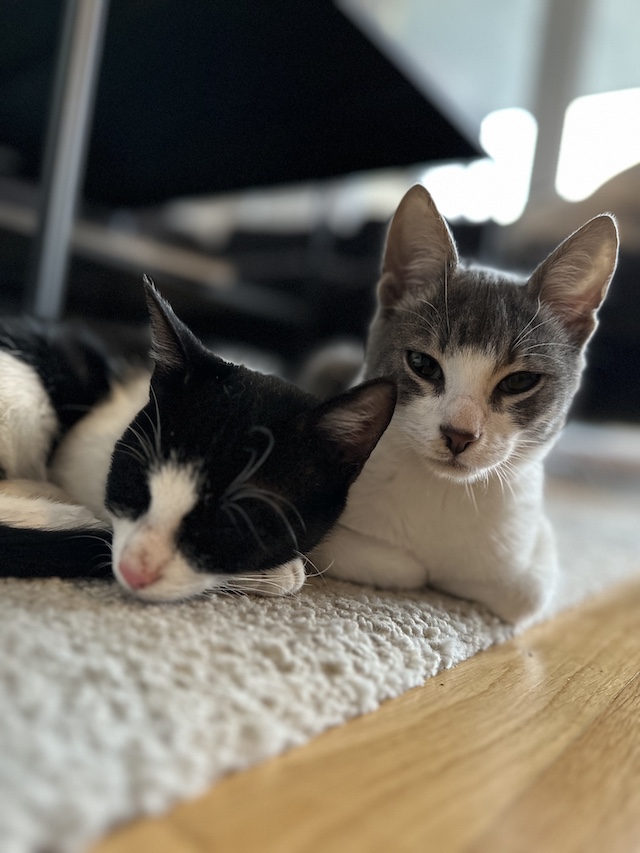 fellengel_val_victor6