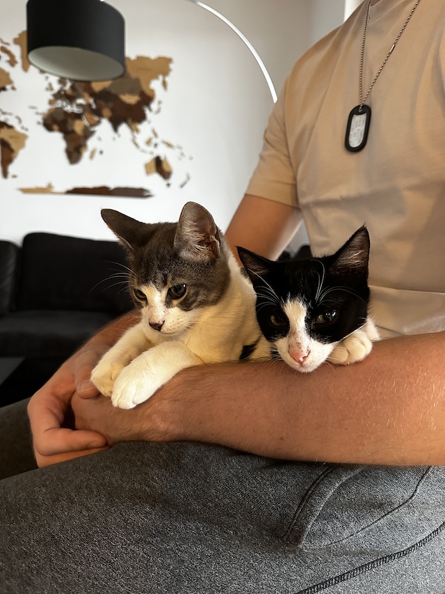 fellengel_val_victor7