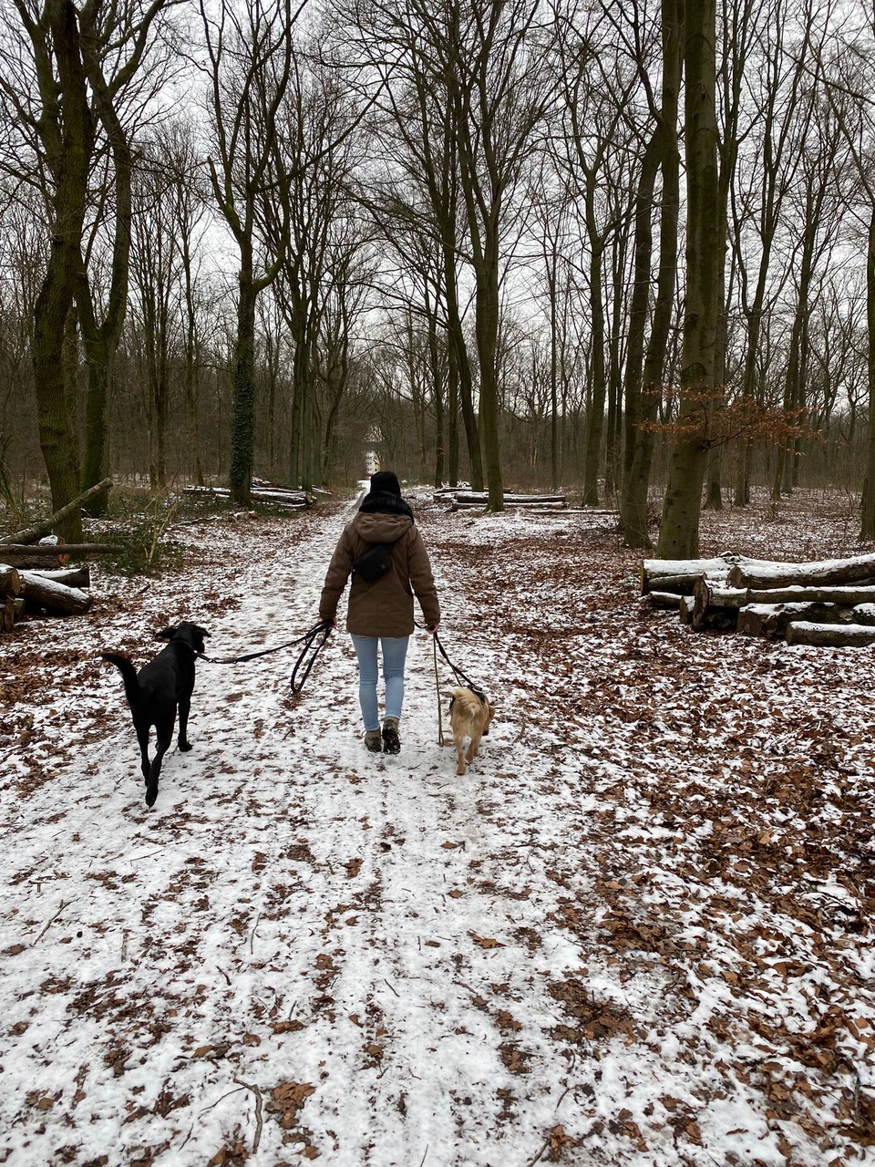 fellengel_little joe 11