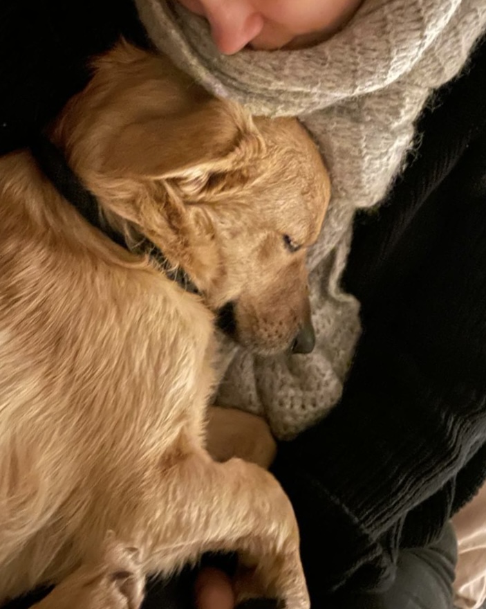 fellengel_little joe 12