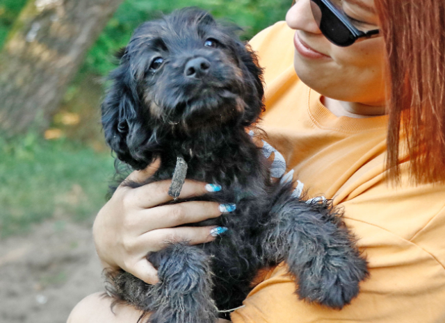 Fellengel_Jacint (2)