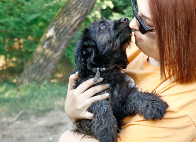 Fellengel_Jacint (5)