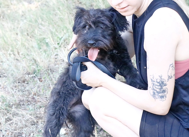 fellengel_pricilla10