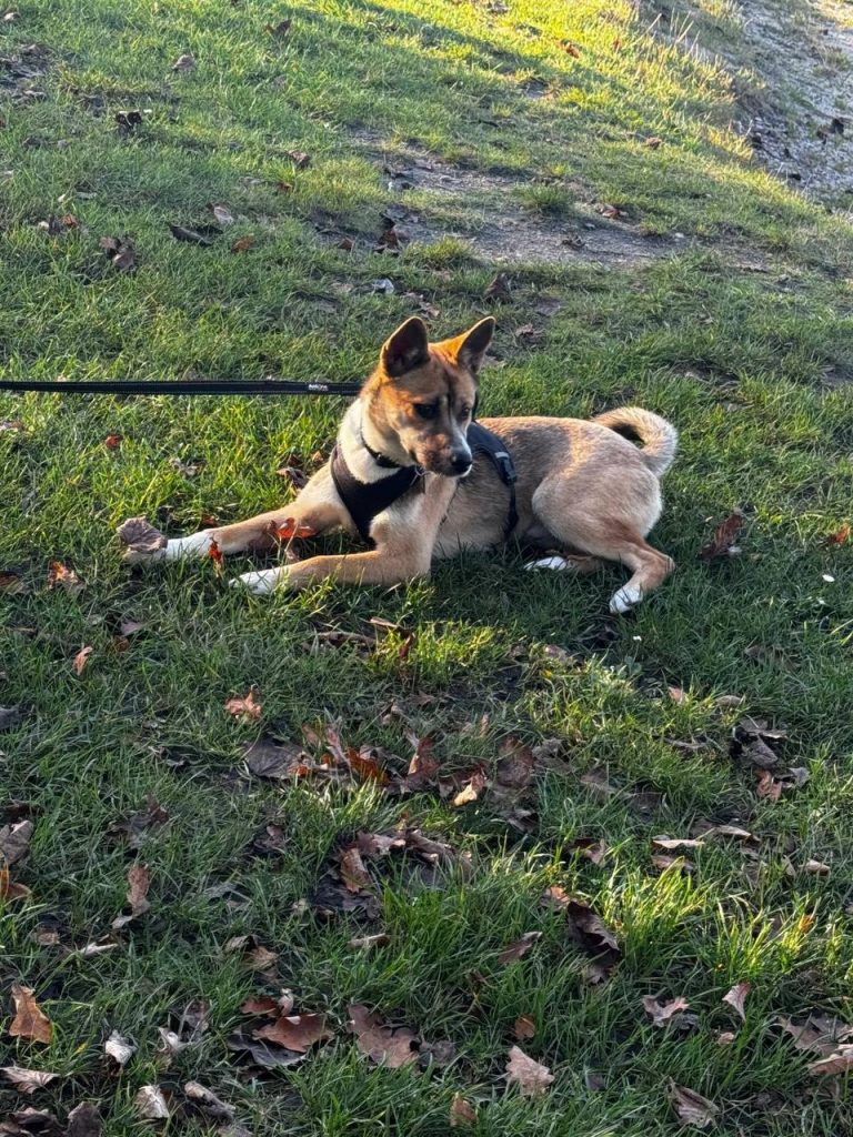 photo_2025-01-10_20-11-02