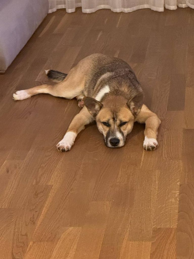 photo_2025-01-10_20-11-05