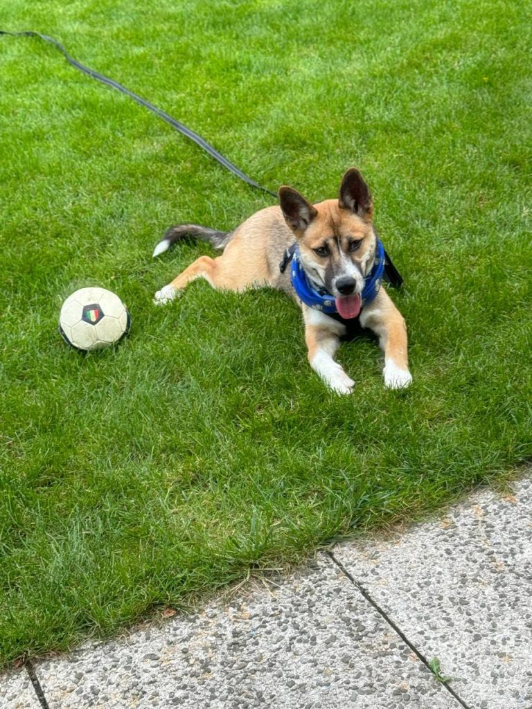 photo_2025-01-10_20-11-08