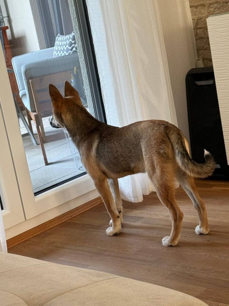 photo_2025-01-10_20-11-10