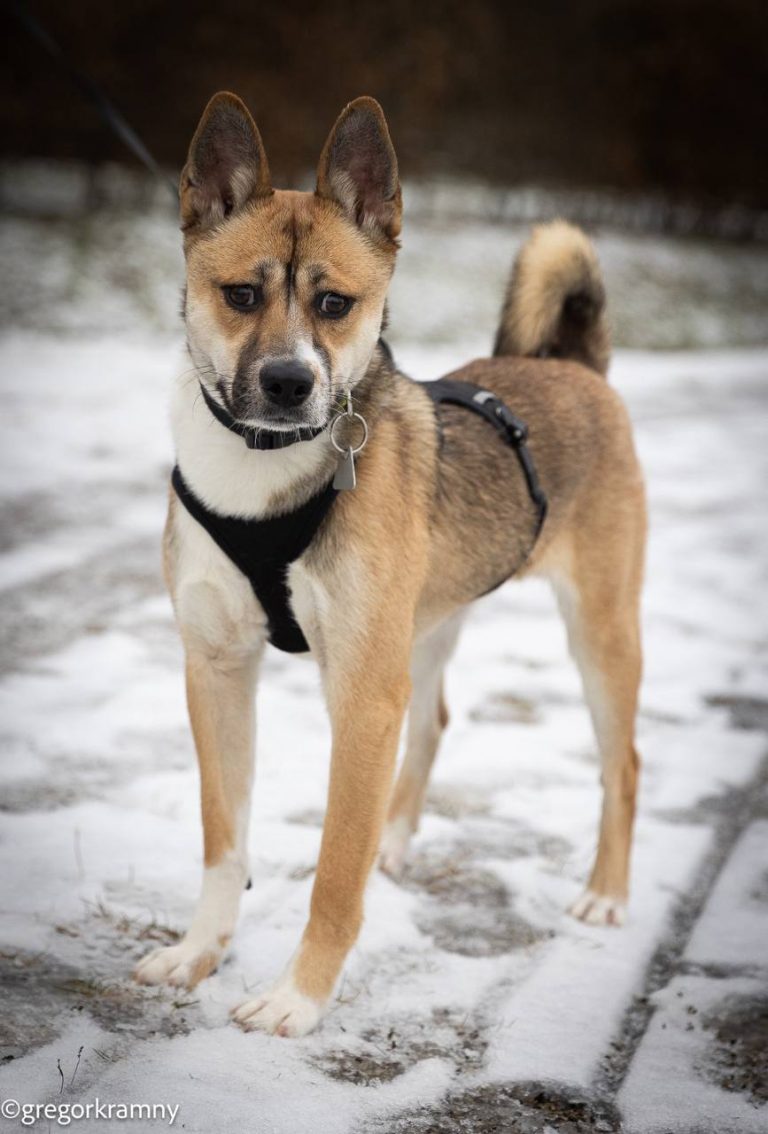 photo_2025-01-19_20-21-15