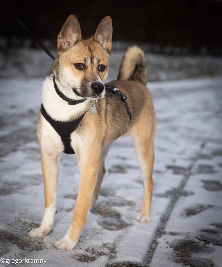 photo_2025-01-19_20-21-20