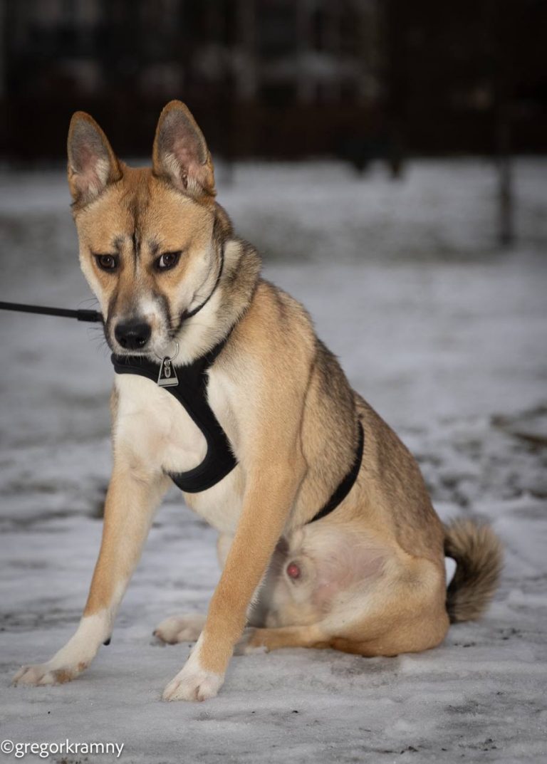 photo_2025-01-19_20-21-24