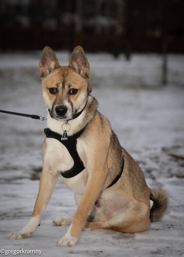 photo_2025-01-19_20-21-28