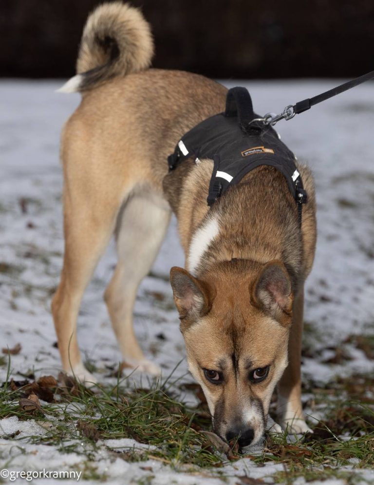 photo_2025-01-19_20-21-32