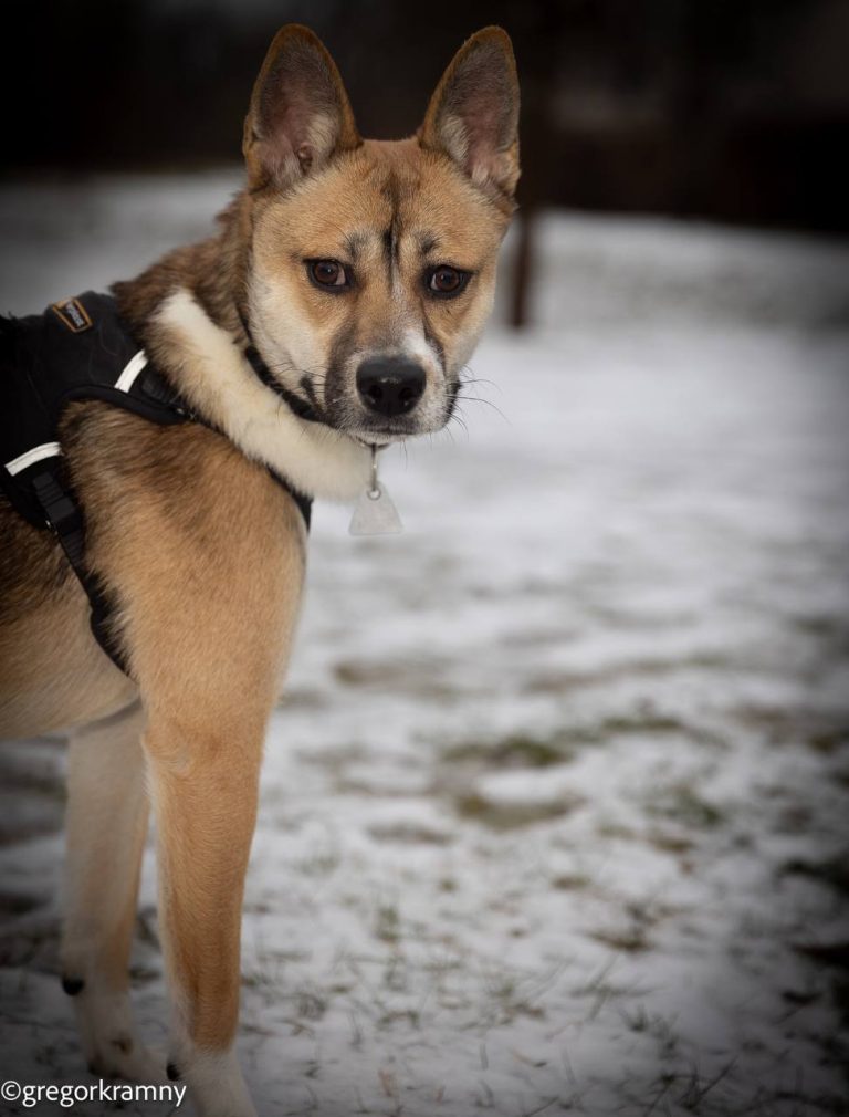 photo_2025-01-19_20-21-39