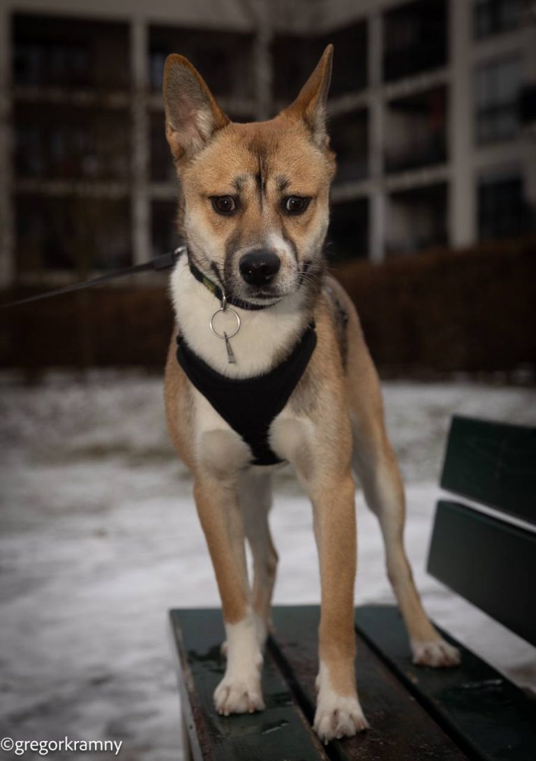 photo_2025-01-19_20-21-42