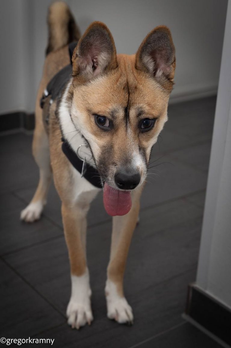 photo_2025-01-19_20-21-45