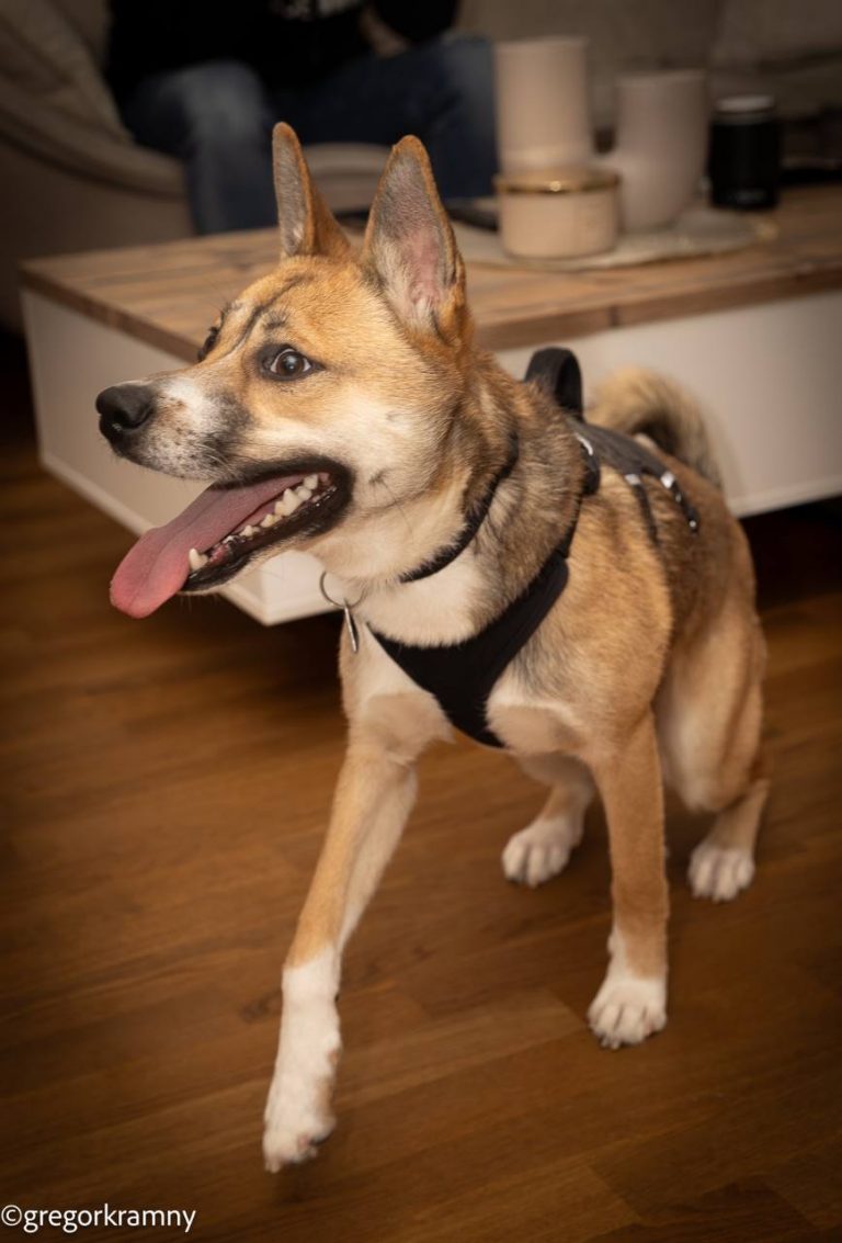 photo_2025-01-19_20-21-48