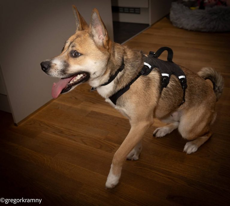 photo_2025-01-19_20-21-51