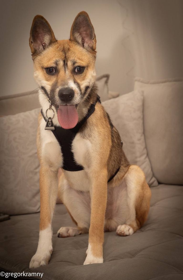 photo_2025-01-19_20-21-55