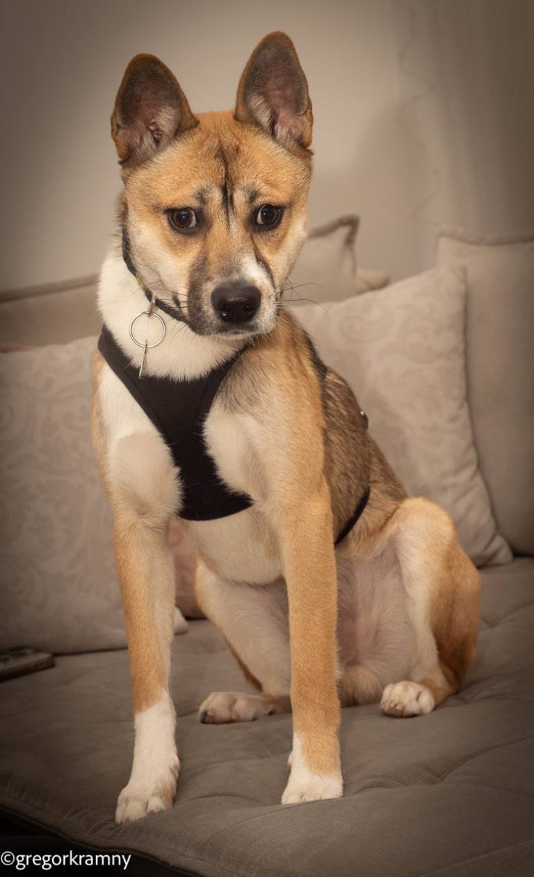 photo_2025-01-19_20-21-58