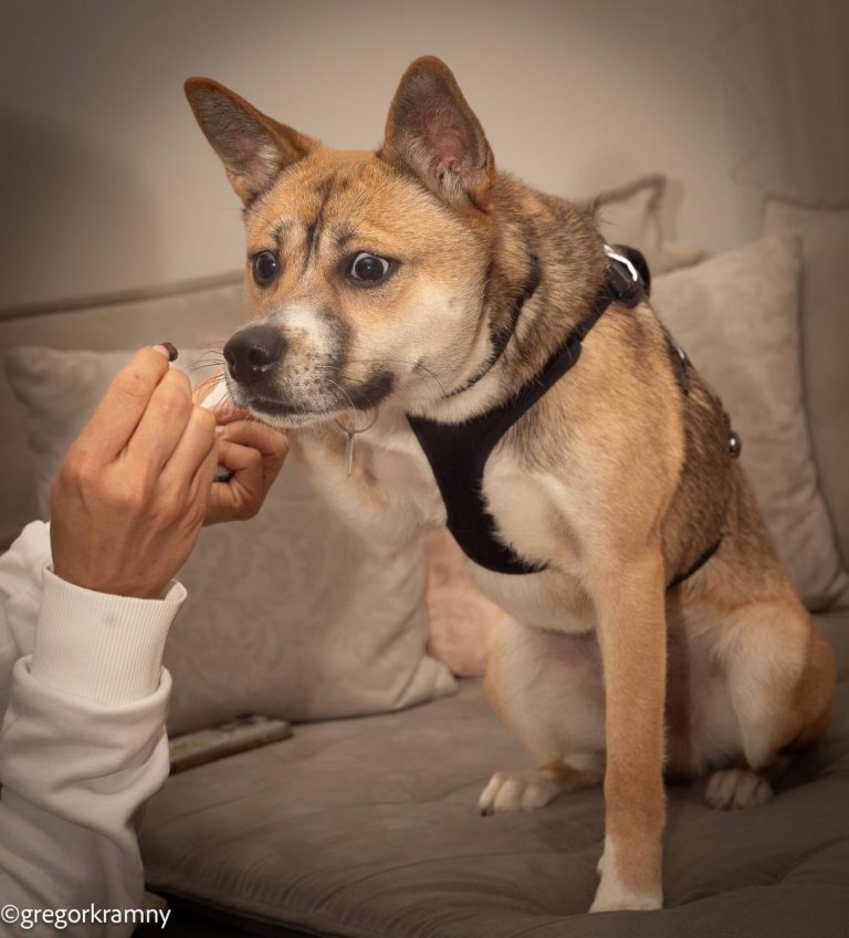 photo_2025-01-19_20-22-01