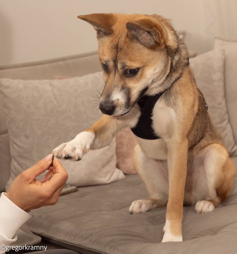 photo_2025-01-19_20-22-07