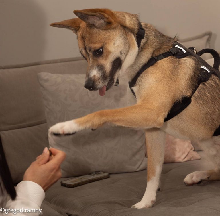 photo_2025-01-19_20-22-11