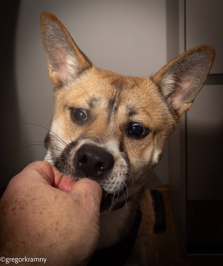 photo_2025-01-19_20-22-17