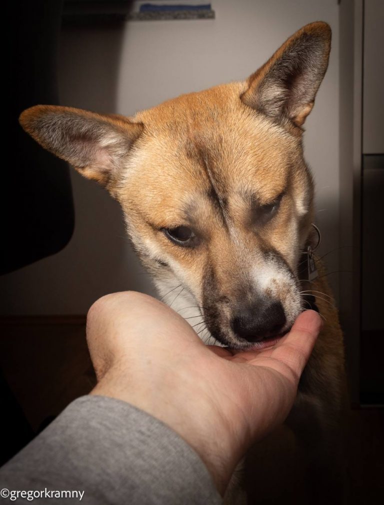 photo_2025-01-19_20-22-21