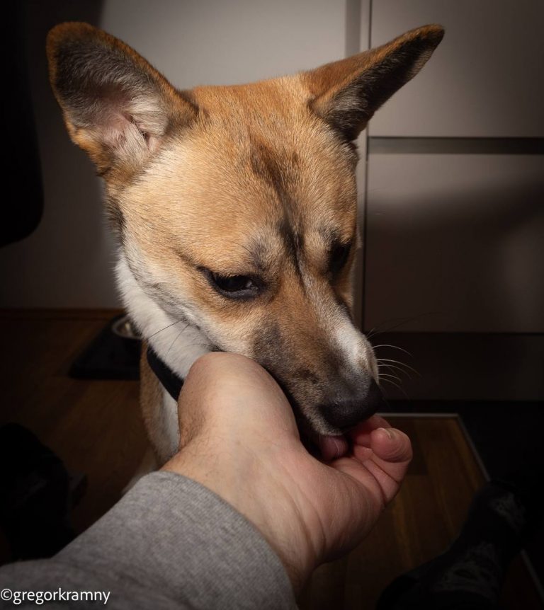 photo_2025-01-19_20-22-24