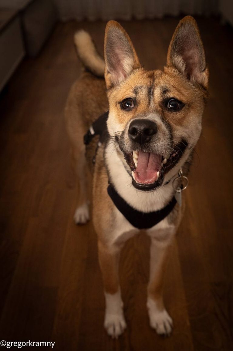 photo_2025-01-19_20-22-27