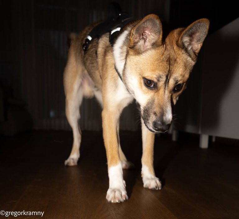 photo_2025-01-19_20-22-31