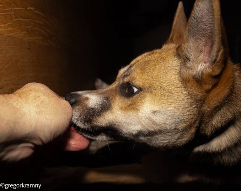 photo_2025-01-19_20-22-34