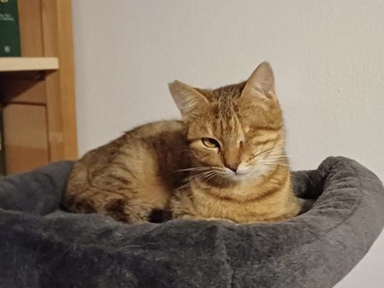 1cb5c529-4077-4356-8b56-331c885c1a1c