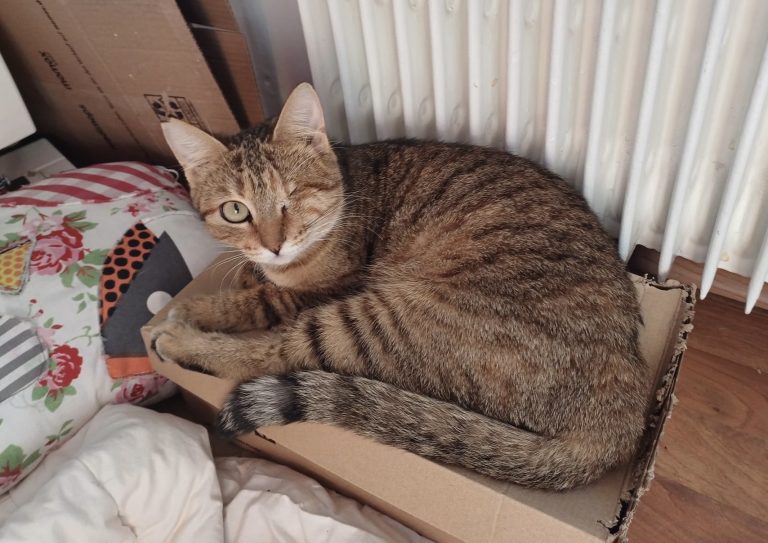 aceba1c3-65a3-40b1-97e4-c2eee7db56e4