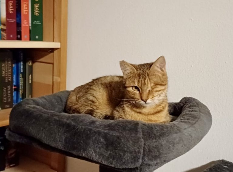 ee8e954f-fda2-44a2-bd3e-7f84842806e6