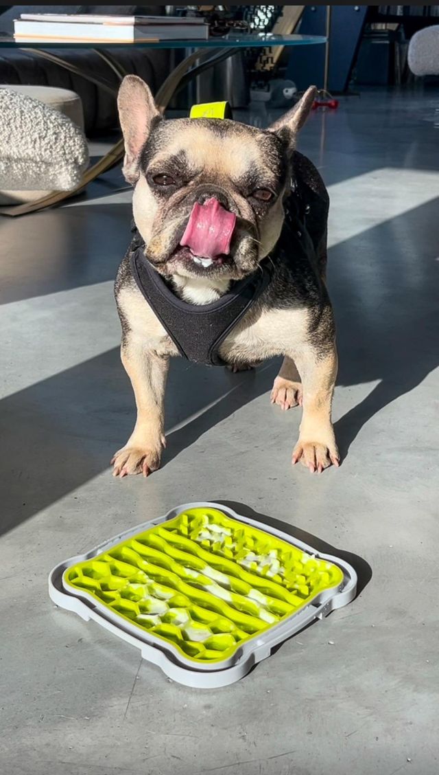 fellengel_littlefiona