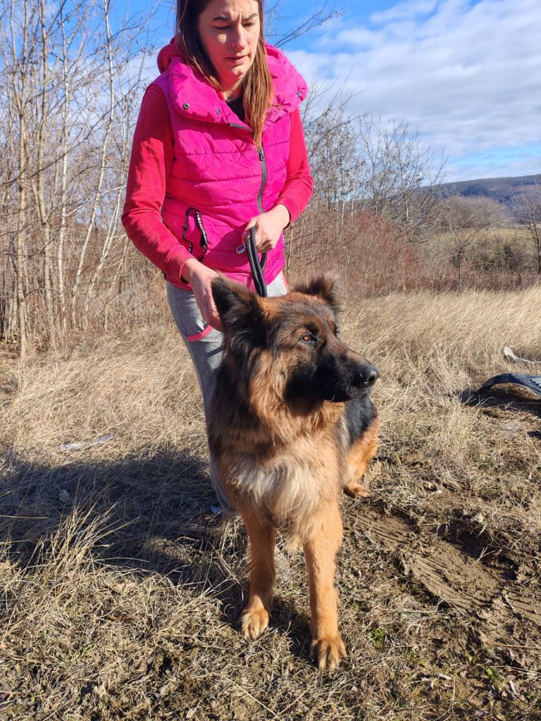 fellengel_mister max_10