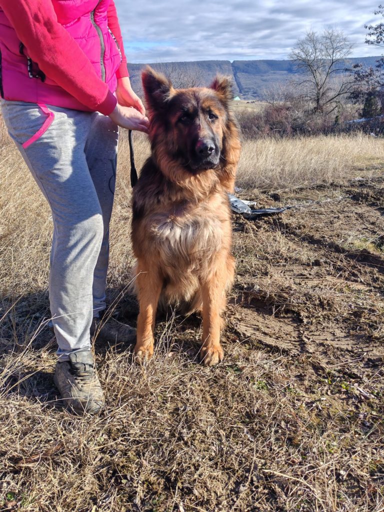 fellengel_mister max_9