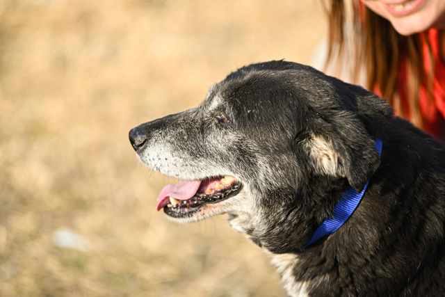 fellengel_william_05