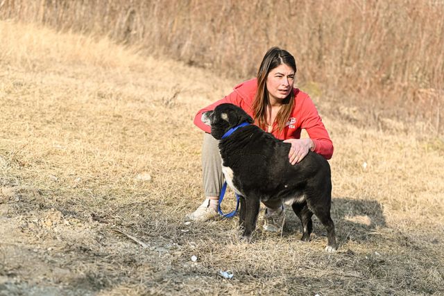 fellengel_william_06