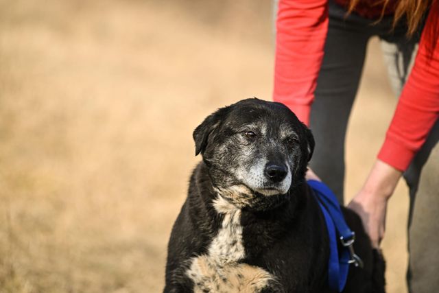 fellengel_william_10