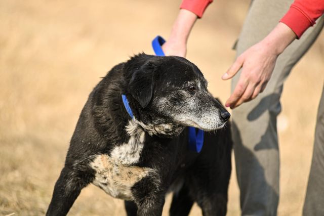 fellengel_william_12