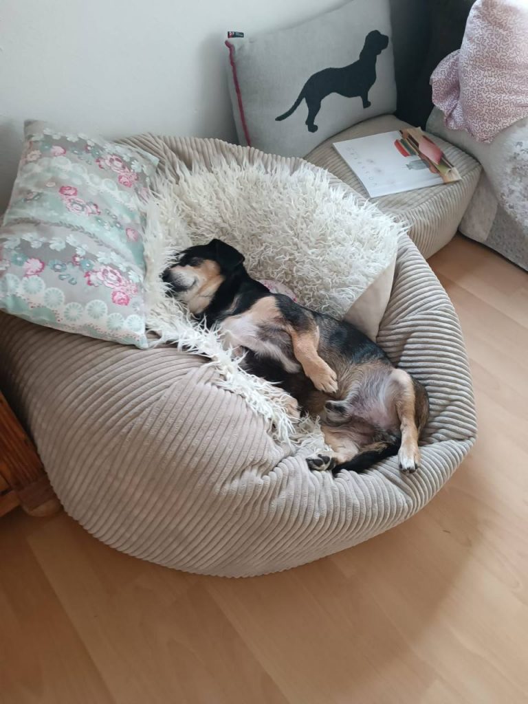 photo_2024-12-08_20-07-39