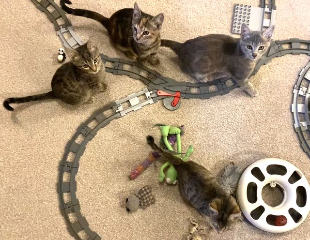 fellengel_floga_mia_asgorath_minka